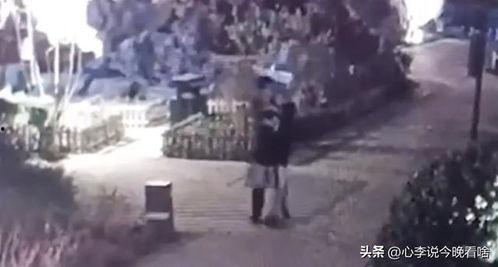 镇平吃瓜最新视频曝光,揭秘幕后真相