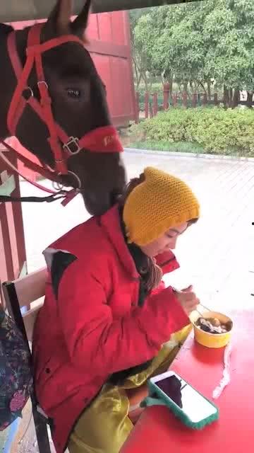 女儿小棉袄吃瓜视频大全,趣味横生的娱乐盛宴