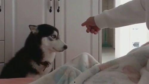 吃瓜群众白眼尬笑视频,揭秘网络视频的幽默魅力