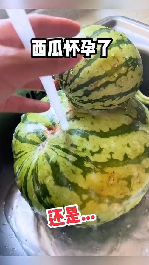 小女孩吃哈密瓜搞笑视频,小女孩搞笑吃瓜瞬间