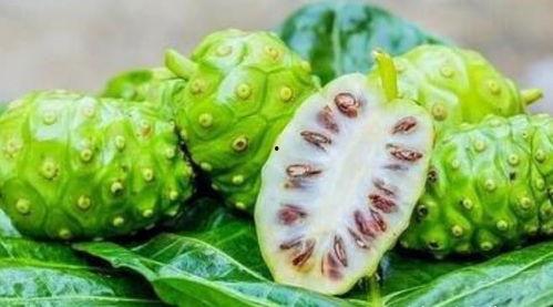 重庆长寿吃瓜事件视频曝光,视频曝光引发社会关注