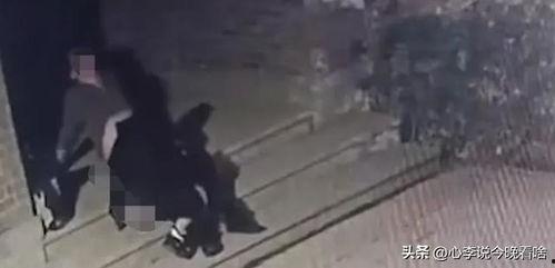 摸鱼打架吃瓜视频,揭秘网络视频的另类魅力