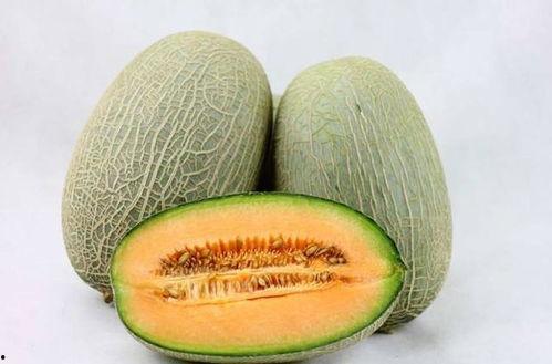 女子吃哈密瓜像猴子视频,女子吃瓜视频走红网络