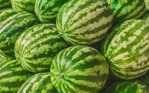 繁花里吃瓜视频,揭秘娱乐圈背后的秘密与八卦