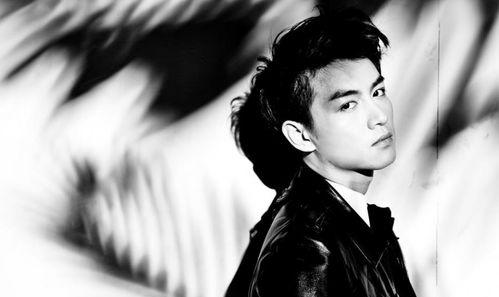 陈晓 吃瓜达人视频合集,吃瓜达人,带你领略娱乐圈风云变幻