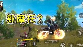 刀塔霸气吃瓜视频大全,盘点经典搞笑视频集锦