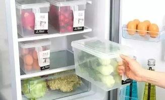 怎么折吃瓜用的收纳盒视频,自制吃瓜收纳盒,夏日必备小物