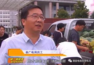 滑县视频吃瓜,揭秘网络热传事件背后的真相