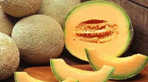 王小羽吃哈密瓜视频,哈密瓜美味之旅