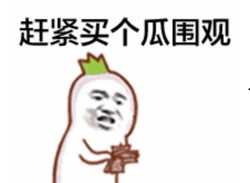 吃瓜群众视频拍摄时间多久,揭秘吃瓜群众视频拍摄时长背后的秘密