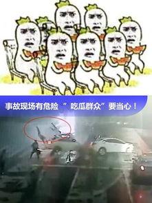 吃瓜群众报道视频,揭秘吃瓜群众视角下的热门视频事件