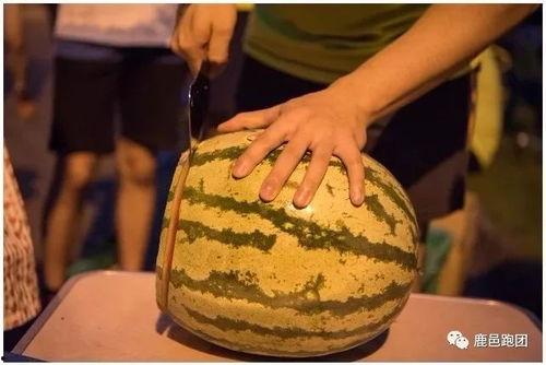 直播吃瓜比赛是真的吗视频,揭秘网络直播界的趣味竞技盛宴