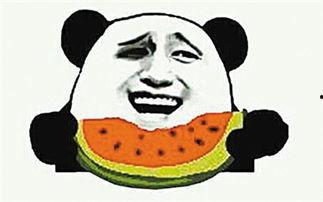 吃瓜嗑瓜子儿歌视频播放,欢快旋律下的趣味生活